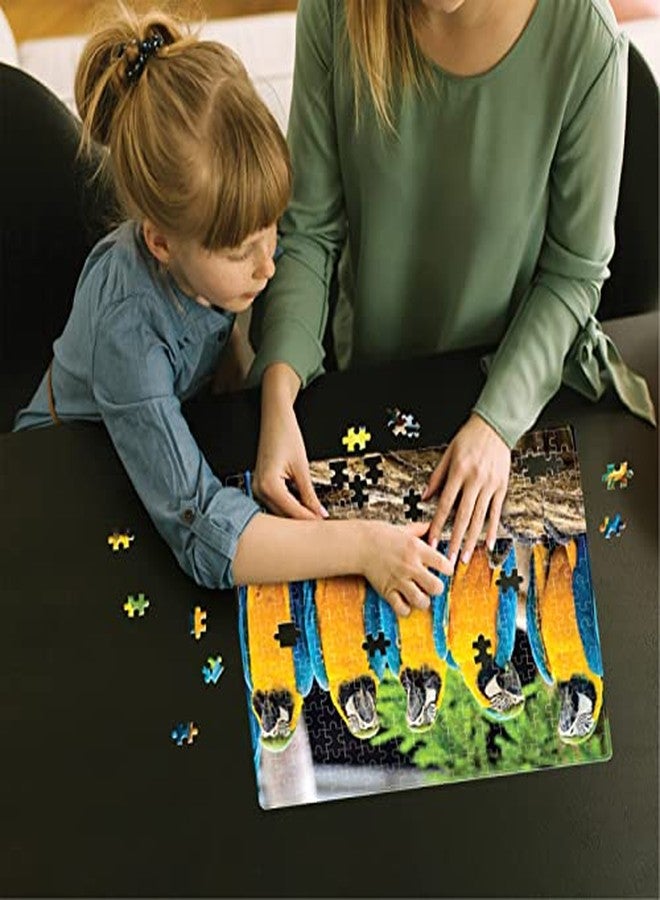 فنسكول لعبة أحجية تعليمية من فن سكول - ببغاوات المكاو، 300 قطعة، للأطفال من عمر 3 سنوات فما فوق - Image 3